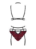 Revealing lingerie set, straps over bust, floral lace, choker
